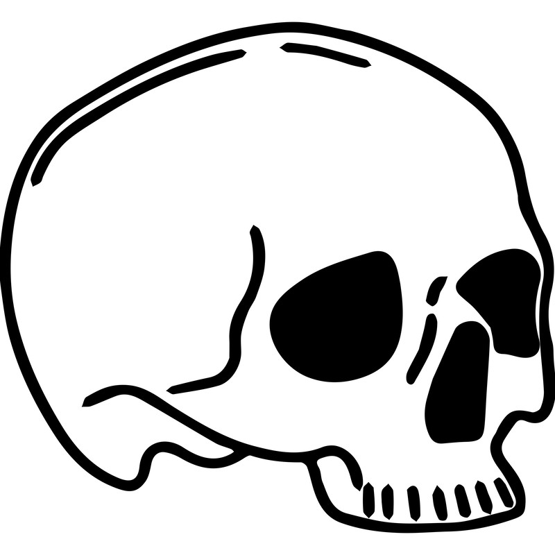 skull 1.png