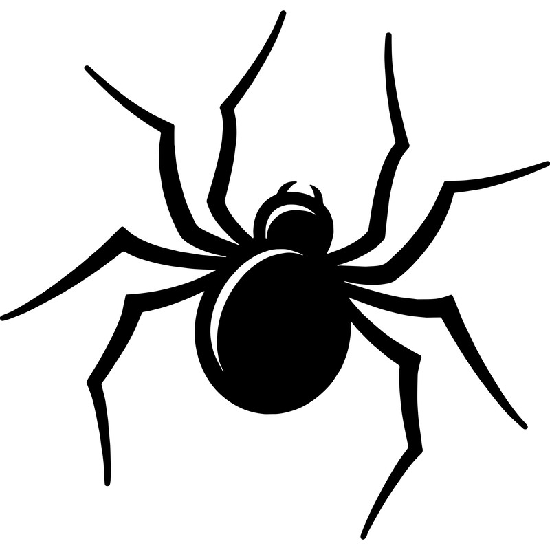 Spider 2.png