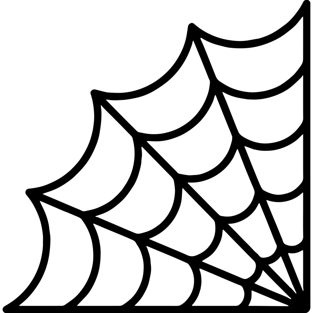 Spider web right corner.png