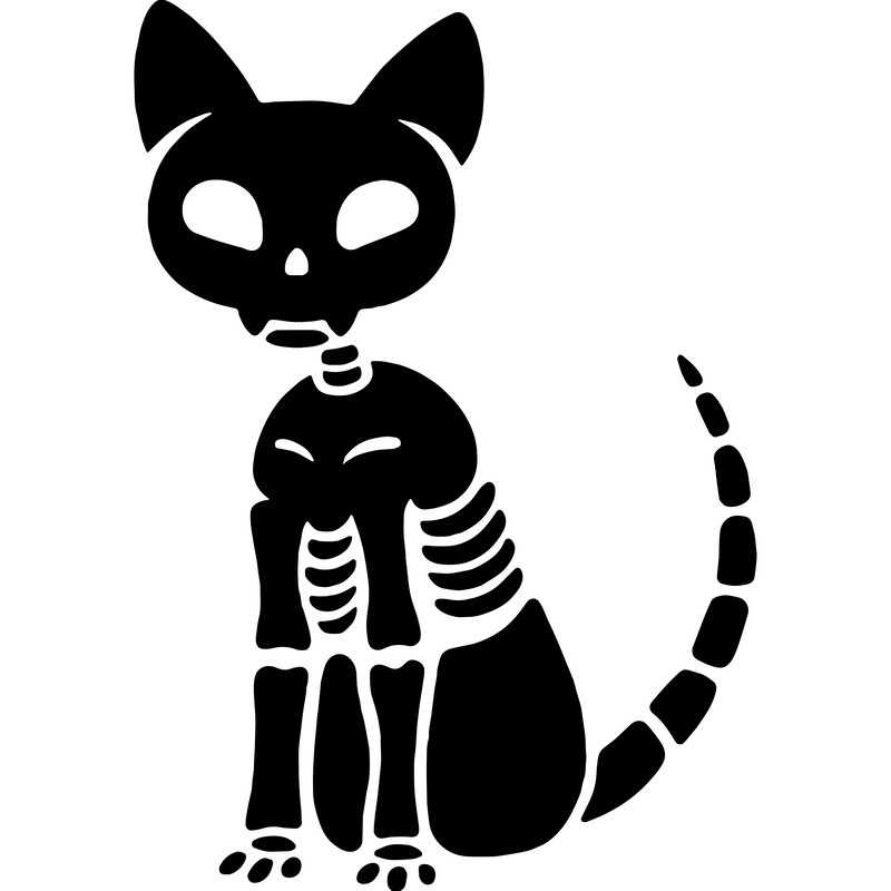 cat skeleton.png