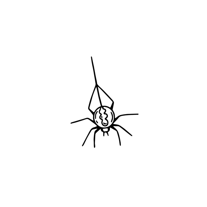 Spider 1.png