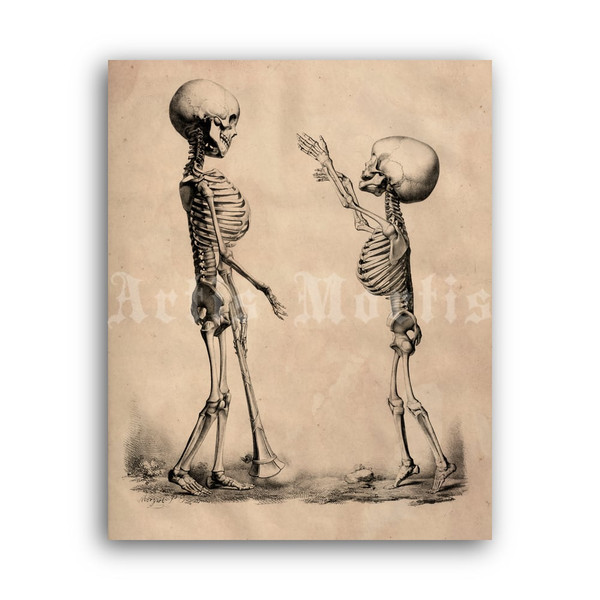 bertinatti_skeletonskids-print.jpg