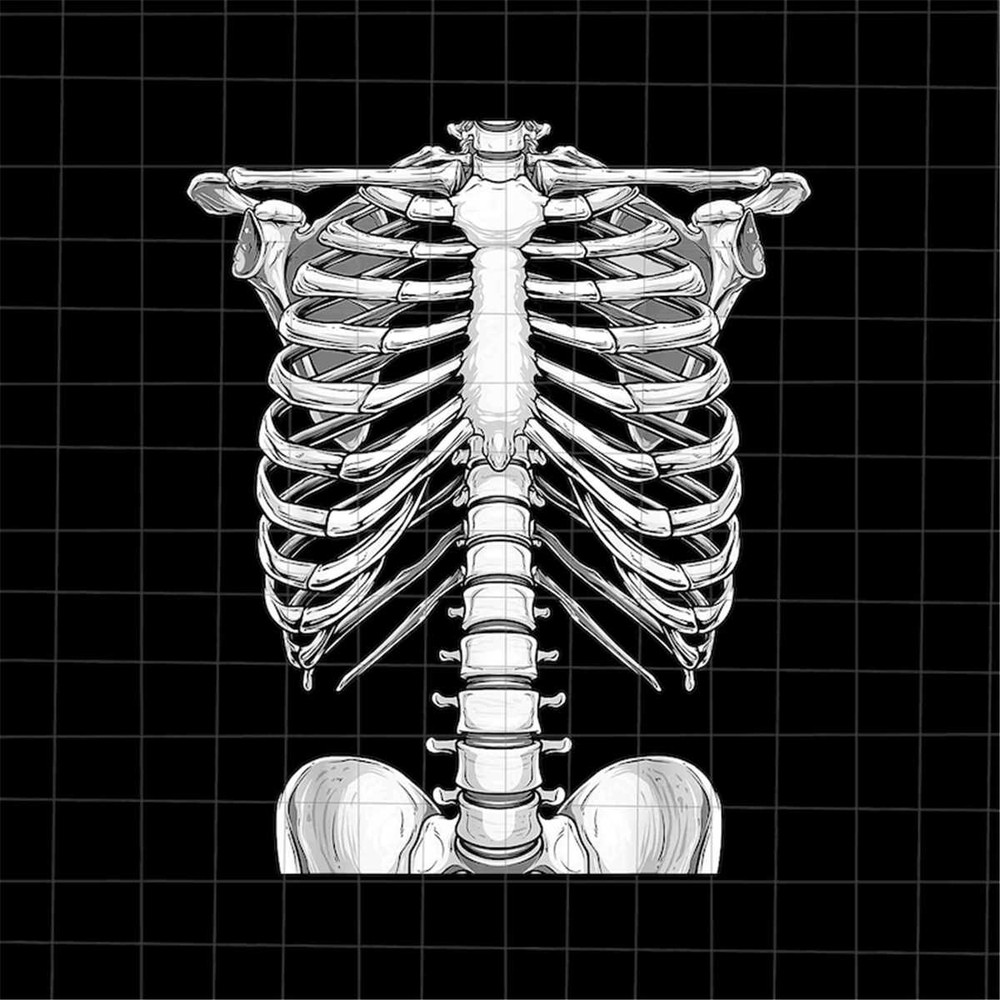 MR-69202314628-skeleton-rib-cage-halloween-png-skeletons-halloween-png-image-1.jpg