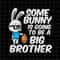 MR-69202355049-some-bunny-is-going-to-be-a-big-brother-svg-brother-easter-image-1.jpg