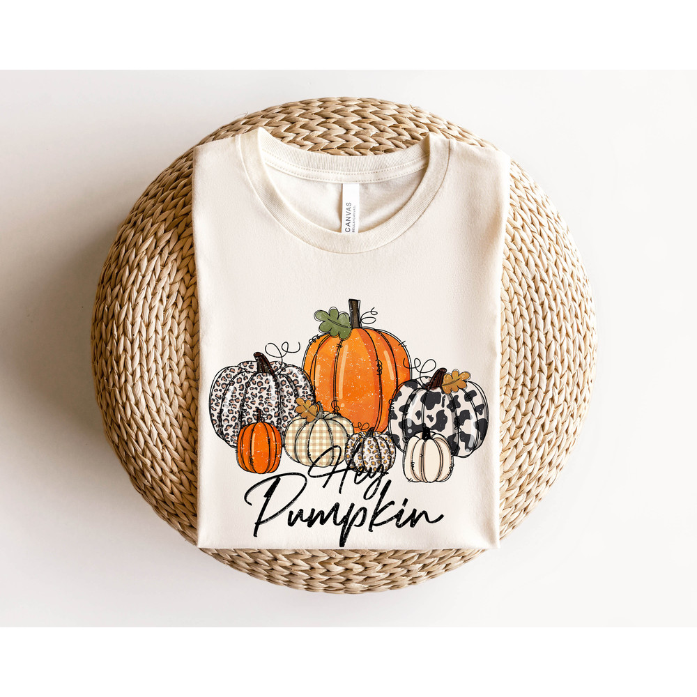 Hey Pumpkin, Hello Pumpkin, Fall Shirt, Pumpkin Shirt, Fall Women, Fall Tshirts, Retro Shirt, Thanksgiving Shirts, Leopard Pumpkin - 3.jpg