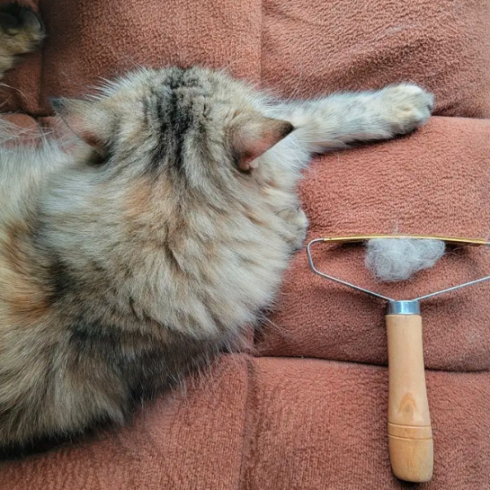 Screenshot 2023-09-06 155720.png