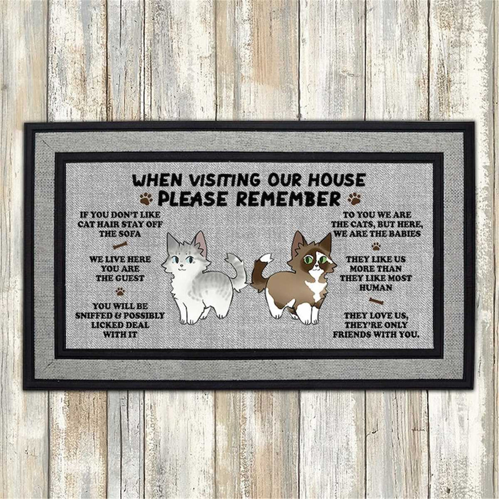 MR-692023224758-please-remember-cat-house-doormat-png-front-doormat-image-1.jpg