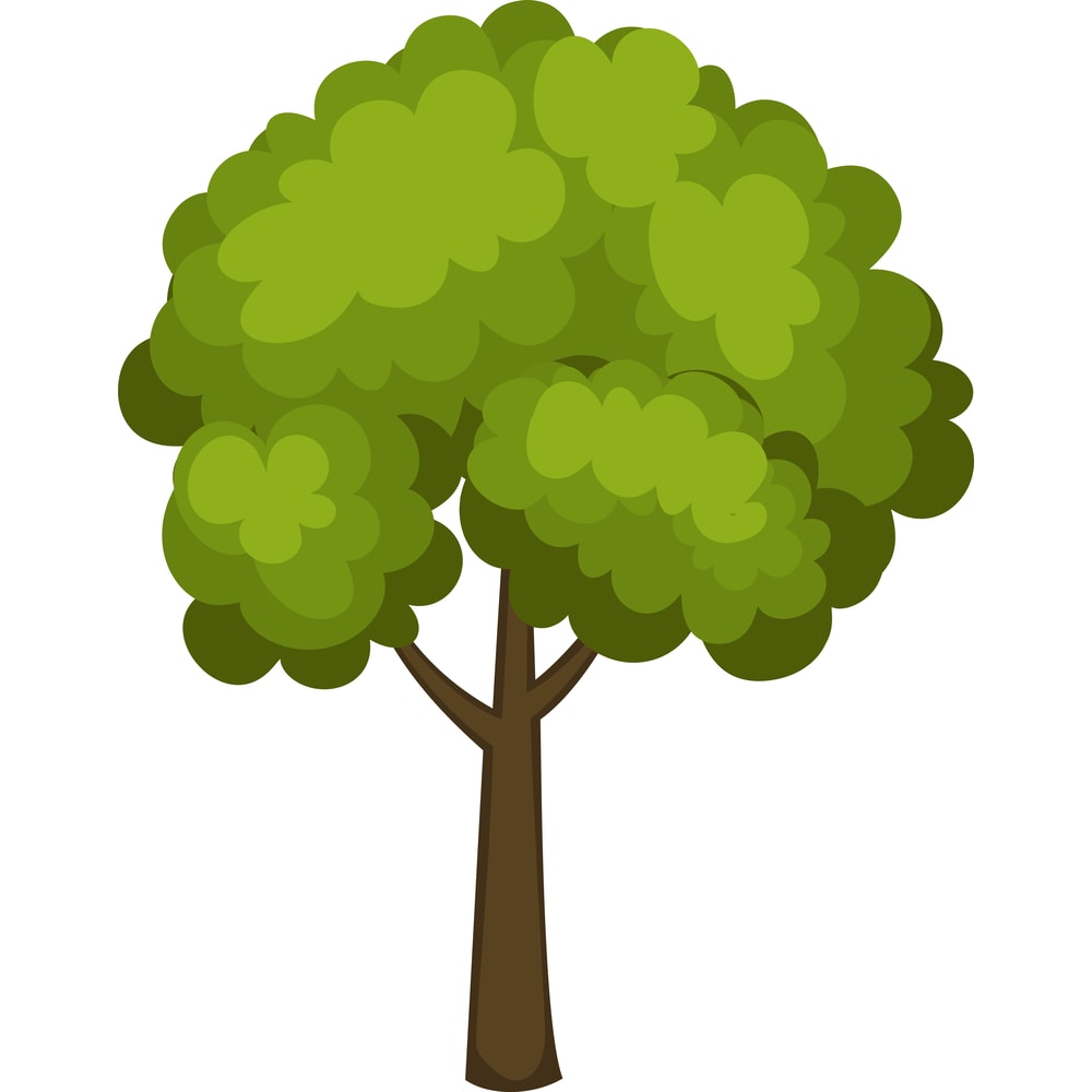 Trees & Leaves (9).png