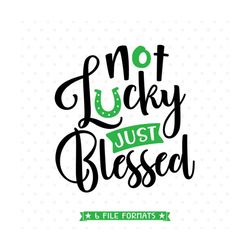 st patricks day svg, st patricks svg, not lucky just blessed iron on transfer shirt design, lucky svg, blessed svg, cric