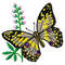 Butterfly yellow embroidery design