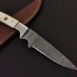 9" custom hand made damascus steel skinner knife camel bone handle w/sheath