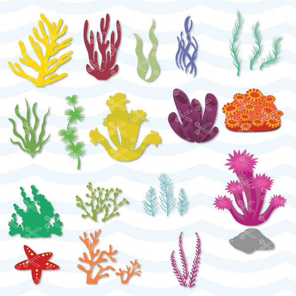 Coral Svg, Shell Svg, Starfish Svg, Seahorse Svg, Instant Download.jpg