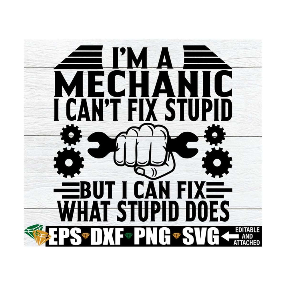 MR-8920238548-im-a-mechanic-i-cant-fix-stupid-but-i-can-fix-what-image-1.jpg