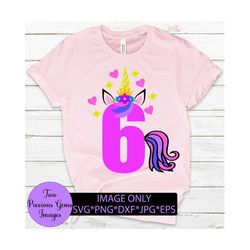 6th birthday. unicorn birthday. 6th unicorn birthday. unicorn number 6. 6th unicorn. digital download.