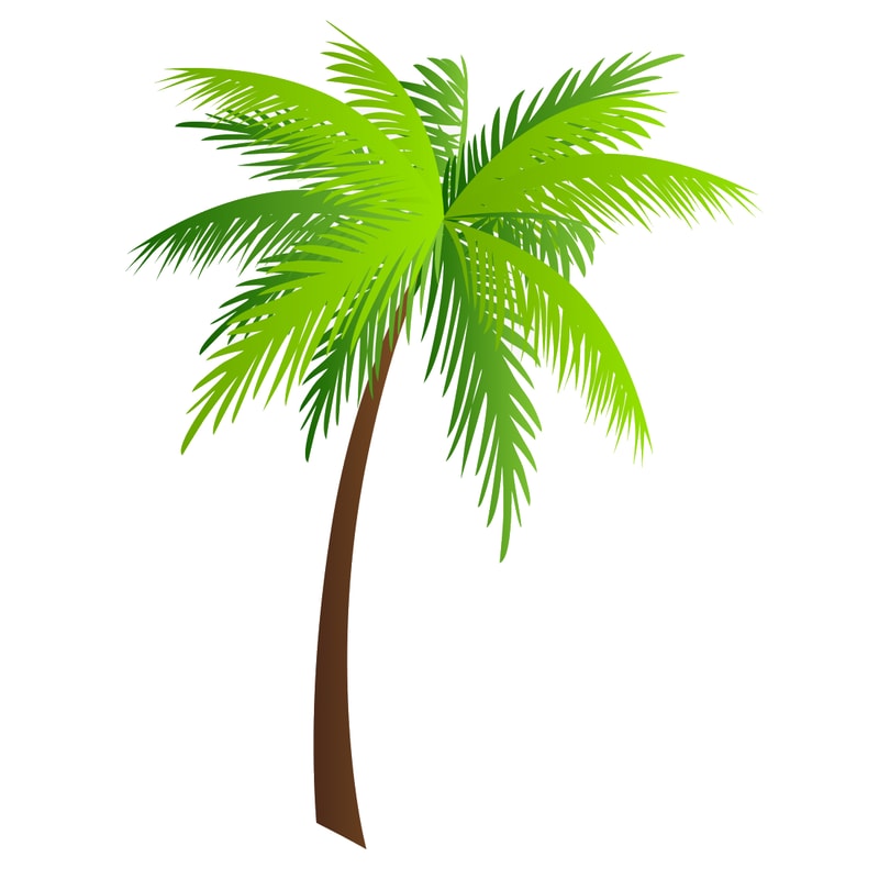 Palm Tree (4).png