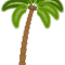 Palm Tree (5).png