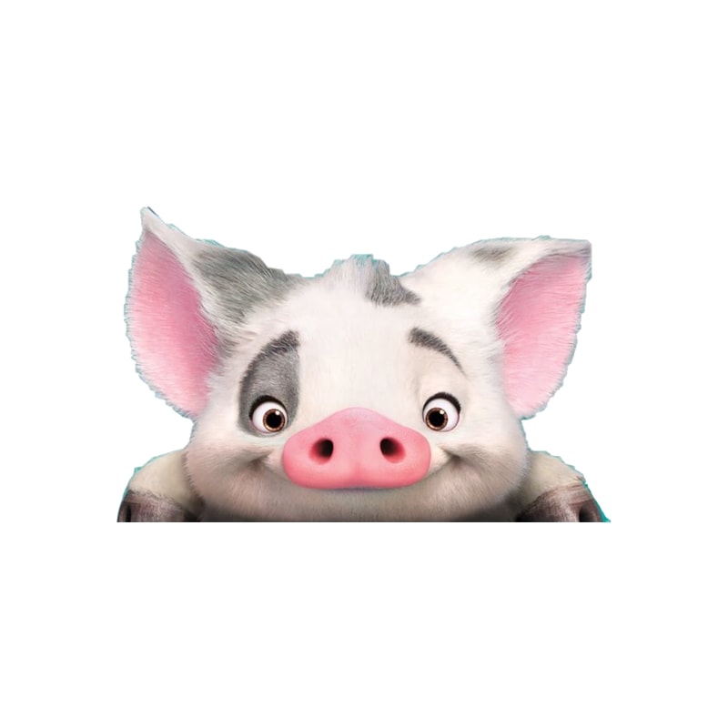 Pig (2).png
