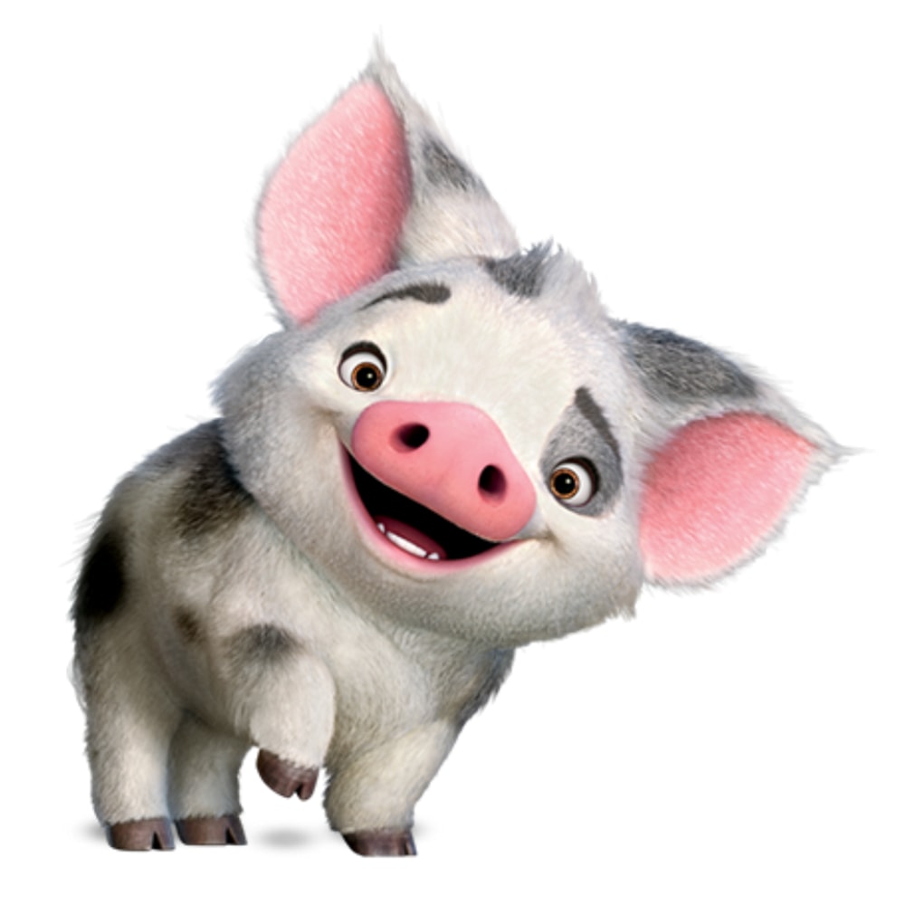 Pig (5).png