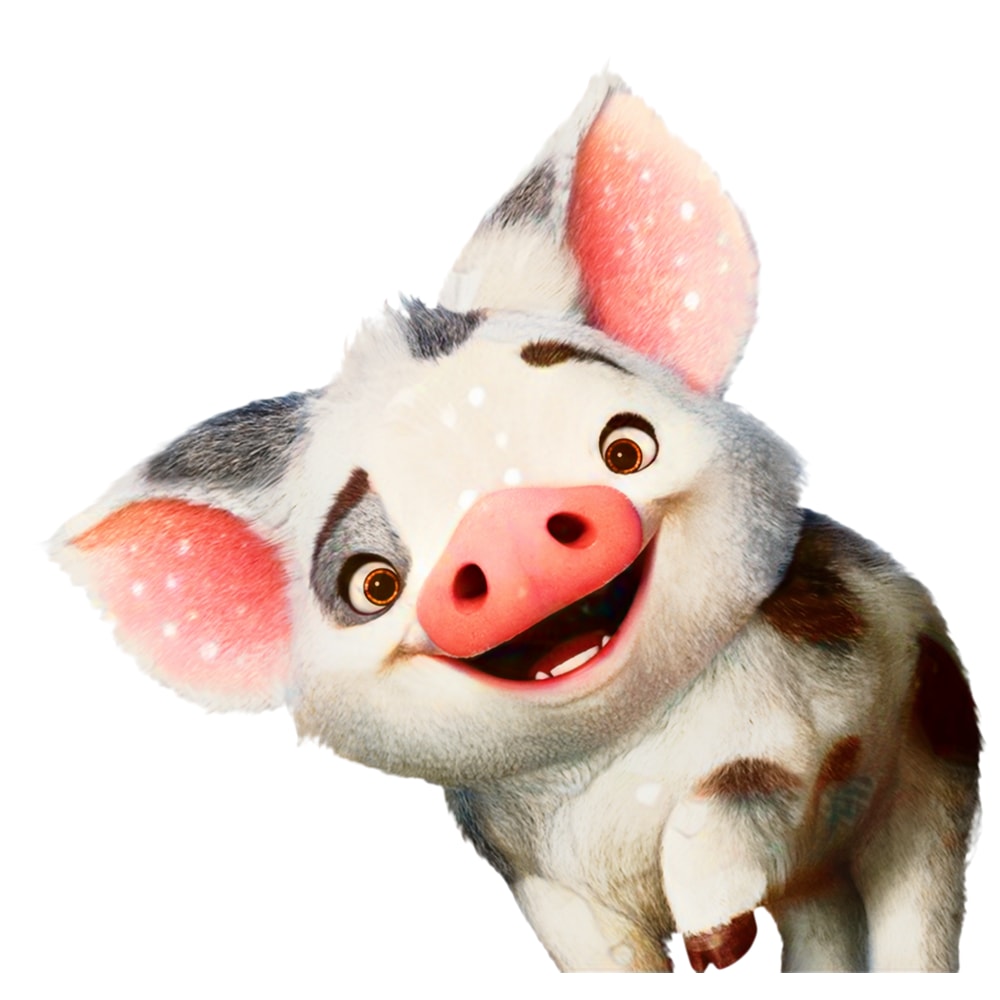 Pig (6).png