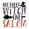 Not Every Witch Lives In Salem.png