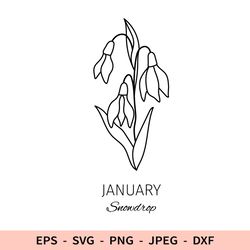 Snowdrop January Birth Flower Svg Outline Floral Birthday File for Cricut dxf for laser cut