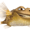 Nemo (93).png