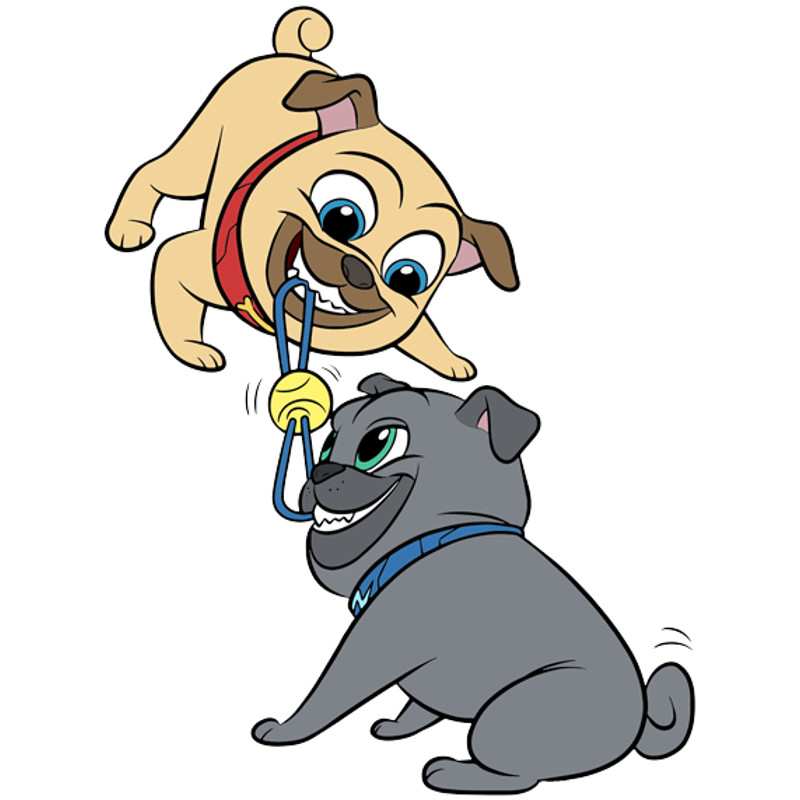 Puppy Dog Pals (24).png
