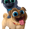 Puppy Dog Pals (37).png