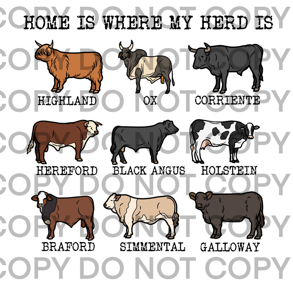 Country Farm Cow Home Is Where My Herd Is Cow breeds Digital Download PNG Sublimation for Tshirt - 1.jpg