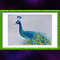 Peacock Watercolor Painting GREEN FRAME.jpg