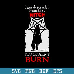 i am descended from that witch svg, halloween svg, png dxf eps digital file