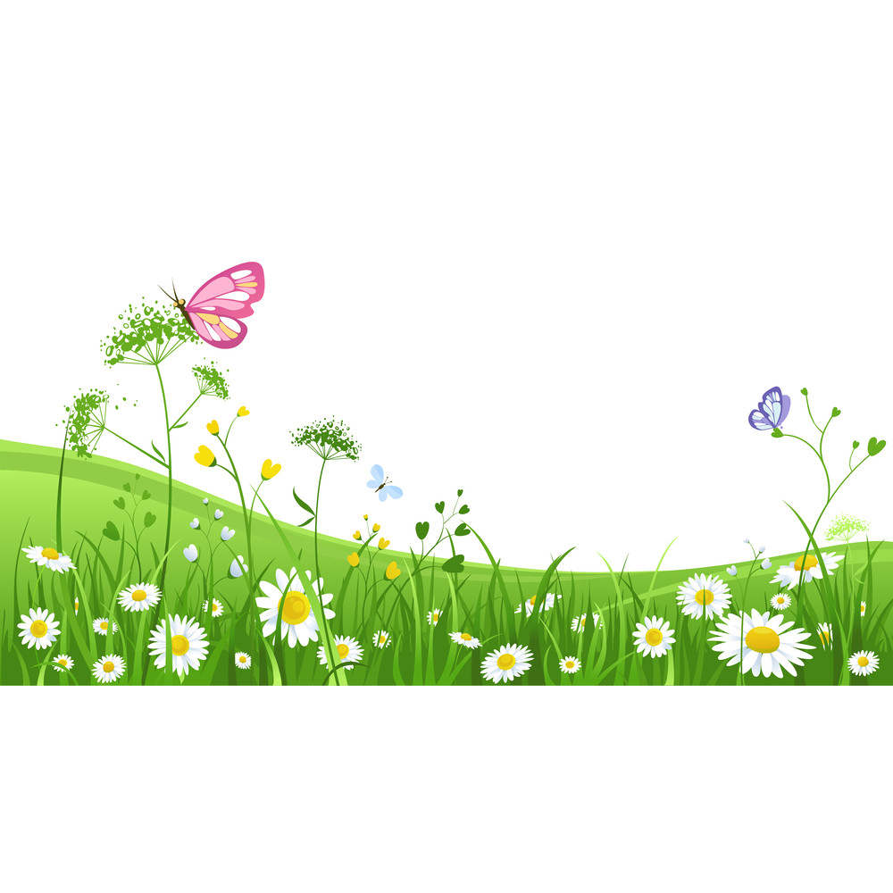 Frames & Templates (5).png