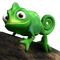 Pascal (3).png