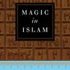 Magic In Islam by Michael Muhammad Knight.jpg