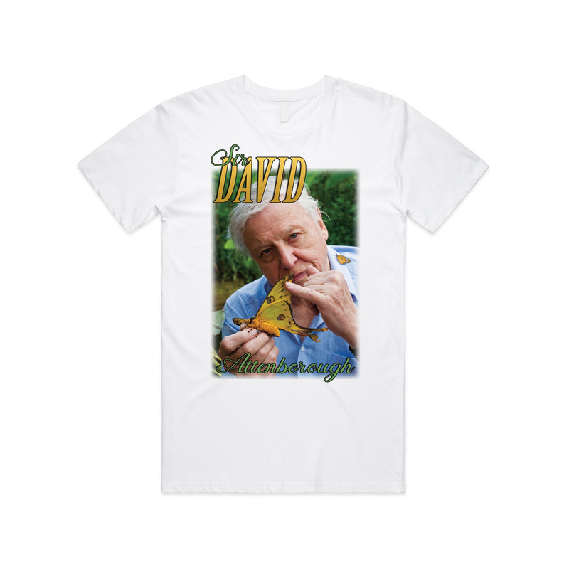 Sir David Attenborough Homage T-shirt Tee Top Retro 90's Vintage Funny Icon.jpg