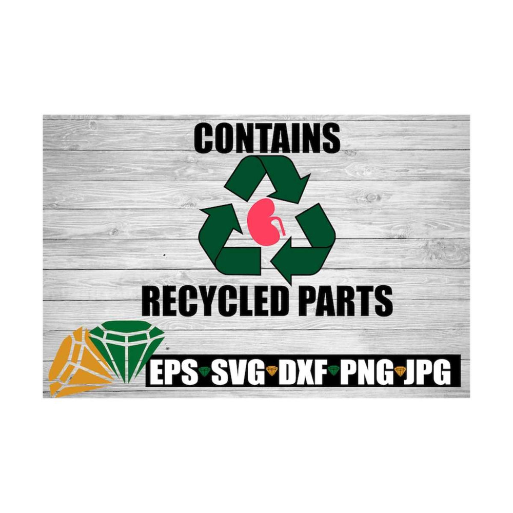 MR-129202391235-contains-recycled-parts-new-kidney-kidney-cut-file-kidney-image-1.jpg