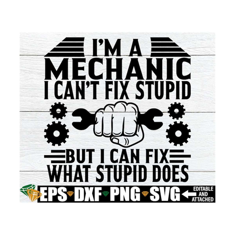 MR-1292023134523-im-a-mechanic-i-cant-fix-stupid-but-i-can-fix-what-image-1.jpg