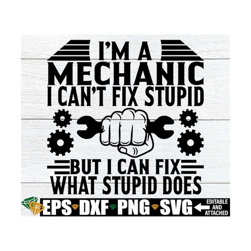 MR-1292023134523-im-a-mechanic-i-cant-fix-stupid-but-i-can-fix-what-image-1.jpg