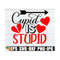 MR-129202314310-cupid-is-stupid-valentines-day-funny-valentines-day-image-1.jpg