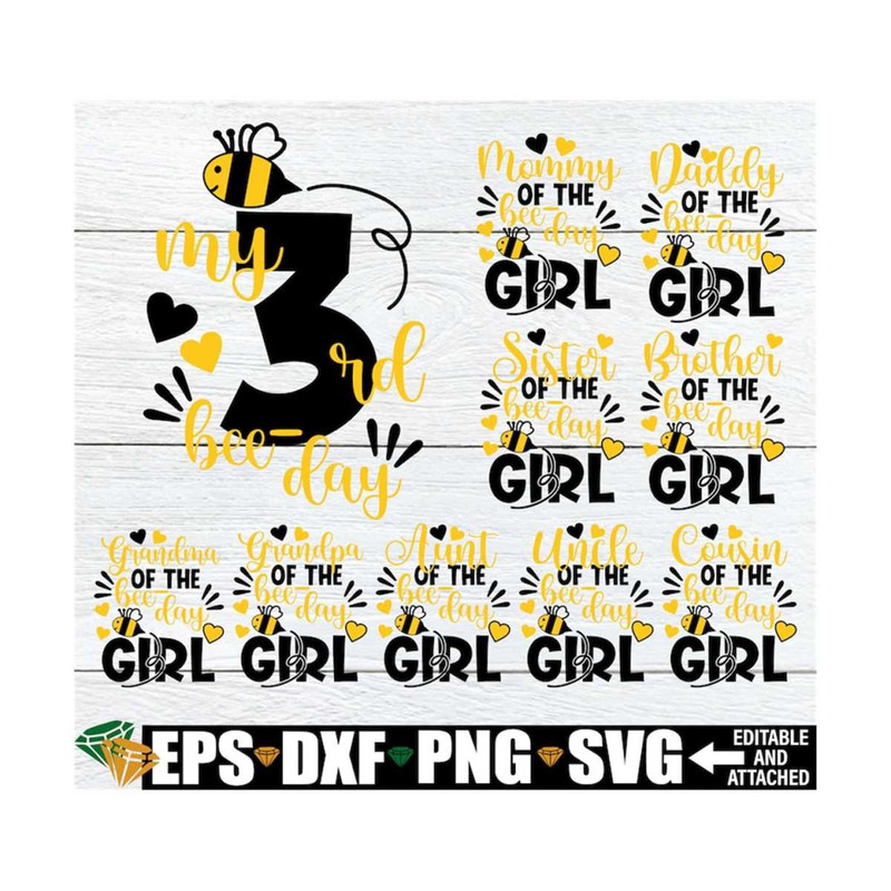 MR-1292023143041-my-3rd-bee-day-matching-family-bee-theme-birthday-girls-image-1.jpg