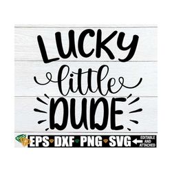 lucky little dude, boys st. patrick's day shirt svg, kids st. patrick's day svg, funny st. patrick's day svg, st. patric