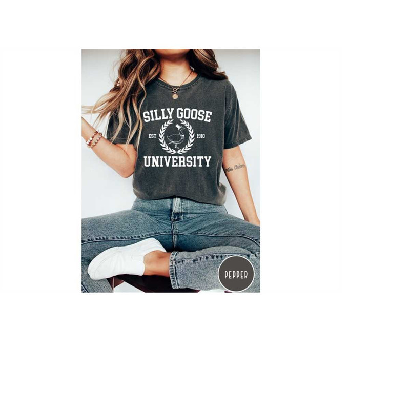 MR-129202315100-confort-colors-silly-goose-university-shirtunisex-silly-goose-image-1.jpg