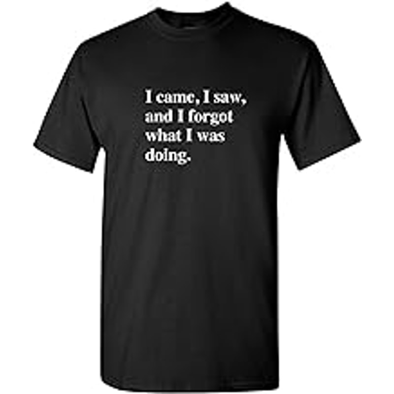 I Came I Saw Humor Sarcasm Funny T Shirt.jpg