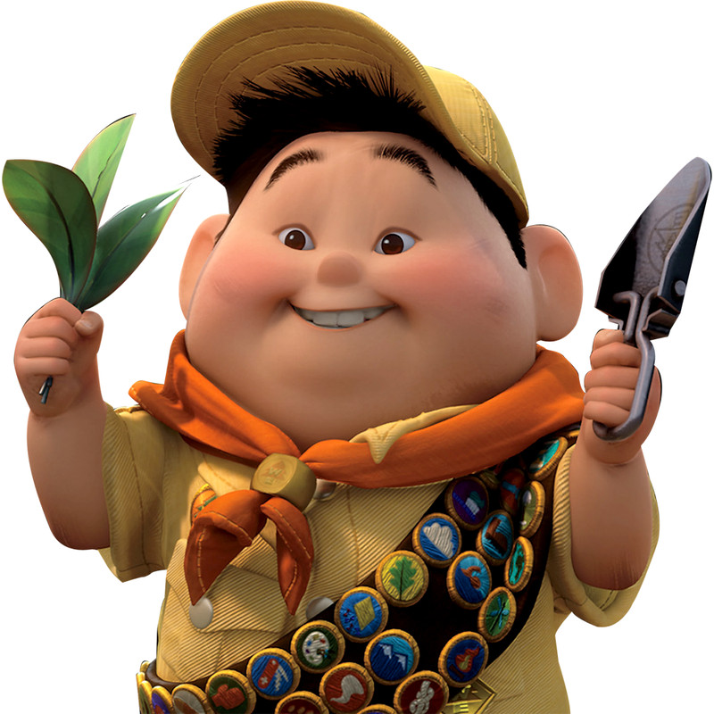 Boy Scout (2).png