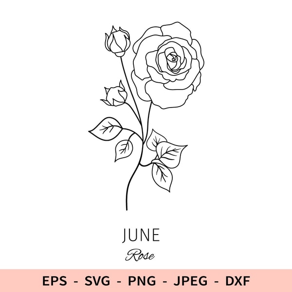 June Flower Sign Rose Birth Flower Svg Outline Floral Birthday June File for | Inspire ...