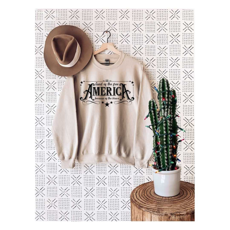 MR-1292023172417-america-land-of-free-sweatshirtland-of-the-free-america-image-1.jpg