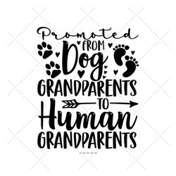 gift from the dog, new grandparents, promoted to grandma, dog parents, expecting new mom