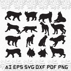 lynx cat svg, lynx cats svg, lynx svg, cat, cats, SVG, ai, pdf, eps, svg, dxf, png