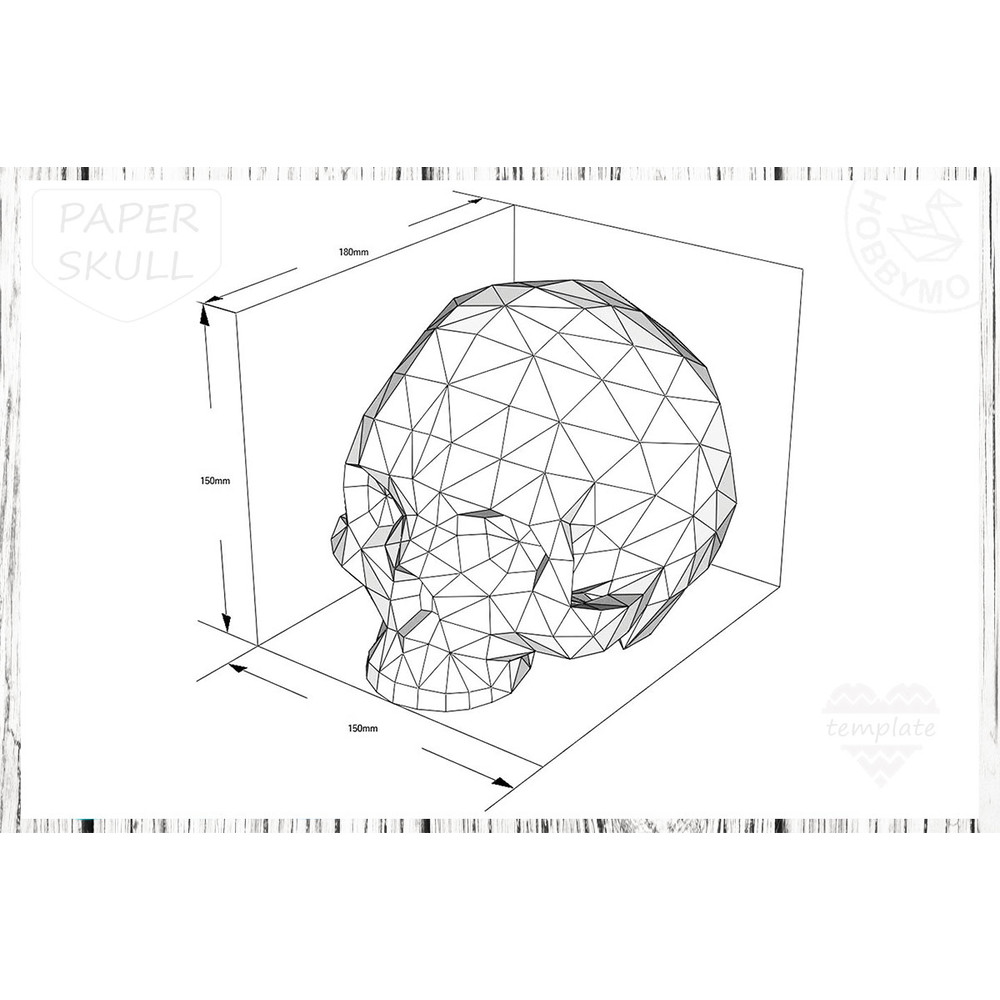 polygonal-skull-size_1200px.jpg