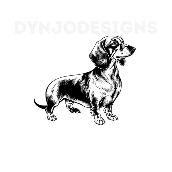 MR-1392023143622-dachshund-svg-dachshund-clipart-dachshund-png-dachshund-image-1.jpg